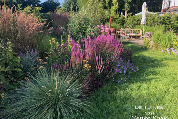 De Tuinen Van Renee Koen Castricum Tuin-03