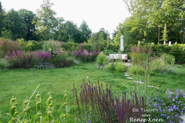 De Tuinen Van Renee Koen Castricum Tuin-09