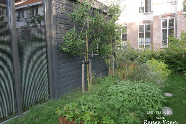 De Tuinen Van Renee Koen Castricum Tuin-10