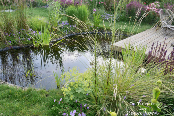 De Tuinen Van Renee Koen Castricum Tuin-16