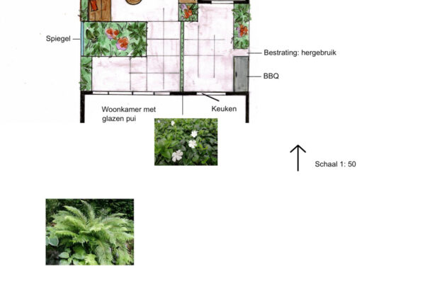 02 De Tuinen van Renee Koen tuinontwerp patiotuin Haarlem