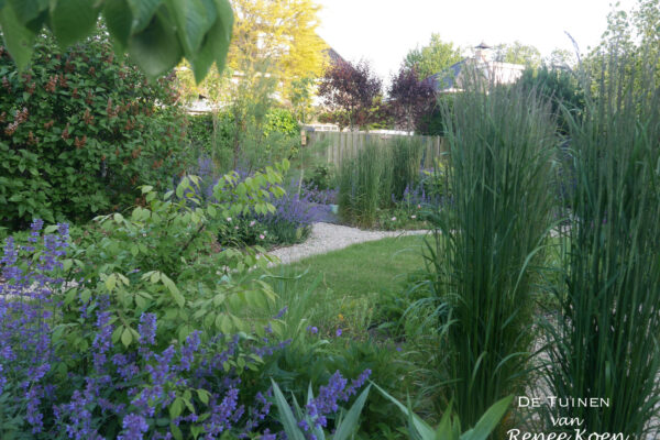 09 De Tuinen van Renee Koen doorkijkje grote tuin kardinaalsmuts euonymus nepeta faassenii calamagrostis gazon