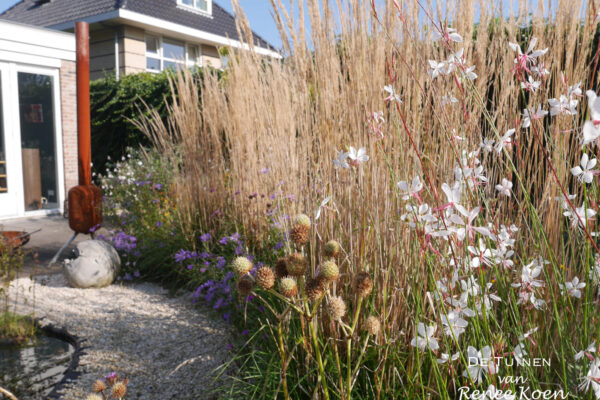 11 De Tuinen van Renee Koen schelpenpad gaura calamagrostis herfstbeeld eryngium yuccifolium heemskerk