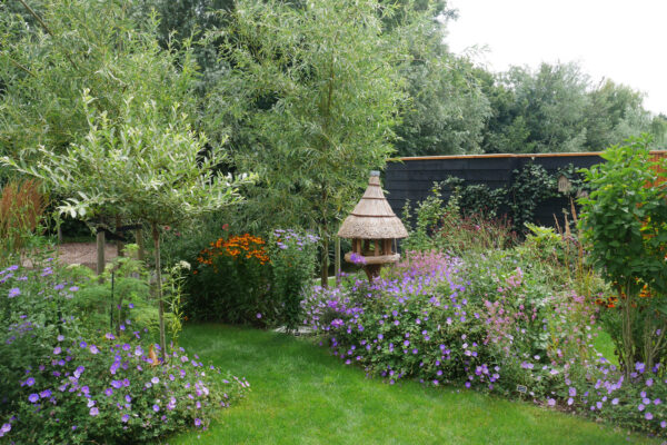00 De Tuinen van Renee Koen tuinontwerper Heerhugowaard bloemrijke borders gazon vogelhuisje knotwilgen tuinontwerp