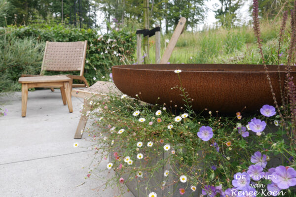 04 De Tuinen van Renee Koen waterschaal cortenstaal erygeron karvinskianus geranium azure rush