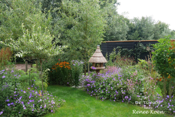 05 De Tuinen van Renee Koen geranium azure rush knotwilgen gazon