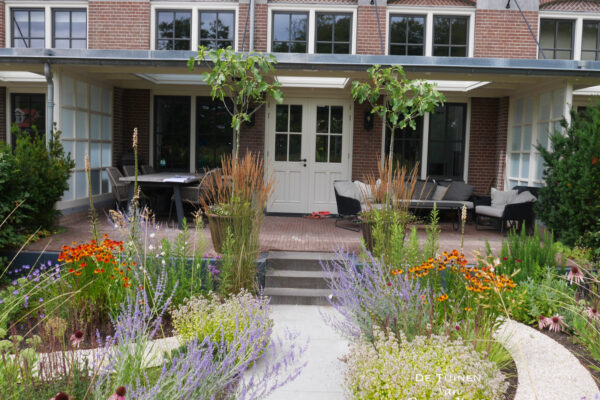 09 De Tuinen van Renee Koen achtertuin Bakkum vijg Helenium Echinacea Perovskia