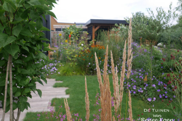11 De Tuinen van Renee Koen halmen calamagrostis Karl Foerster