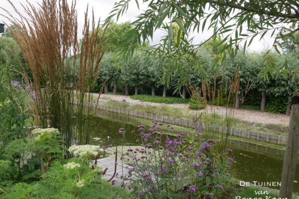 15 De Tuinen van Renee Koen verbena bonariensis Selinum wallichianum calamagrostis salix